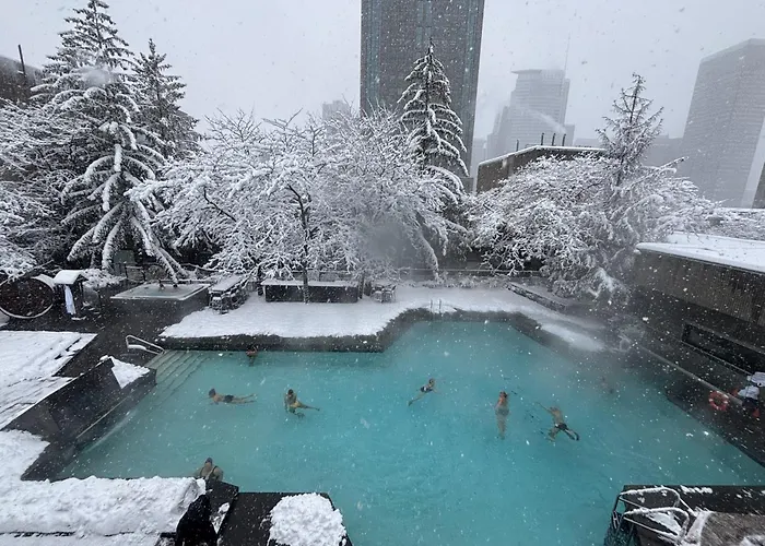 Hôtel accueillant les animaux: Hotel Bonaventure Montreal
